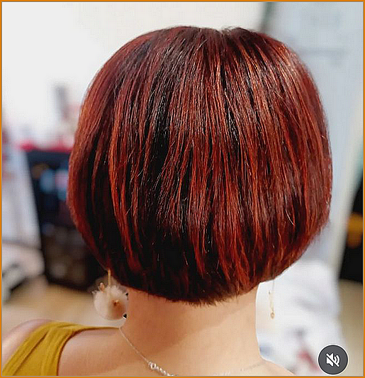 Screenshot20250205-135605 Screenshot20250205-135605