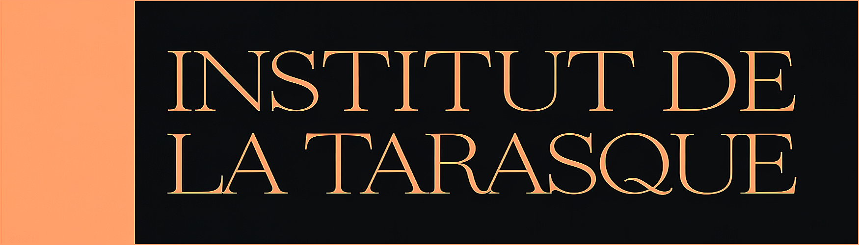 Institut de la Tarasque - Tarascon